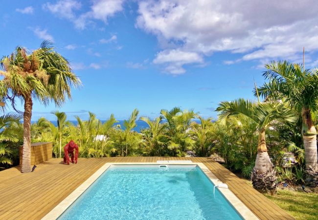 Seasonal rental with pool in reunion island